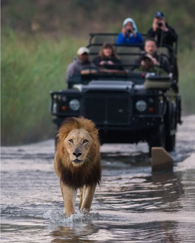 Family-Safari-Africa