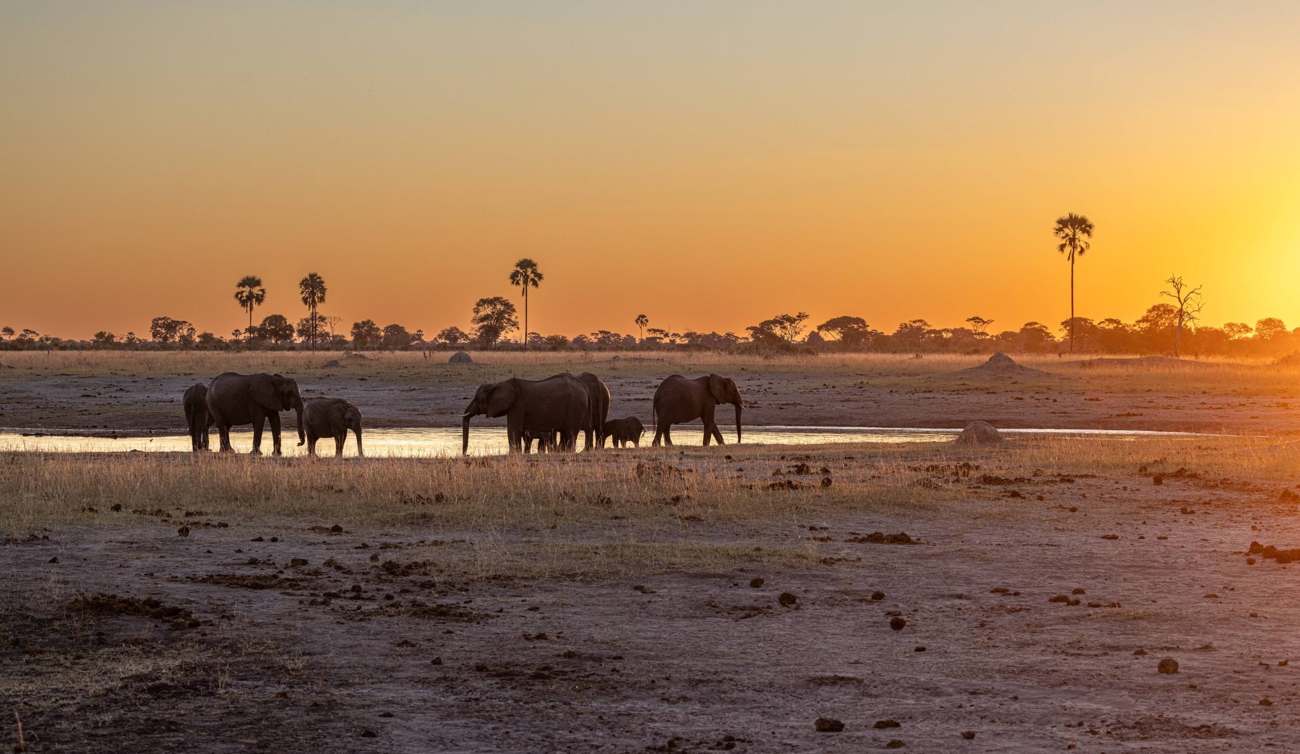 Incredible Zimbabwe & Cape Town