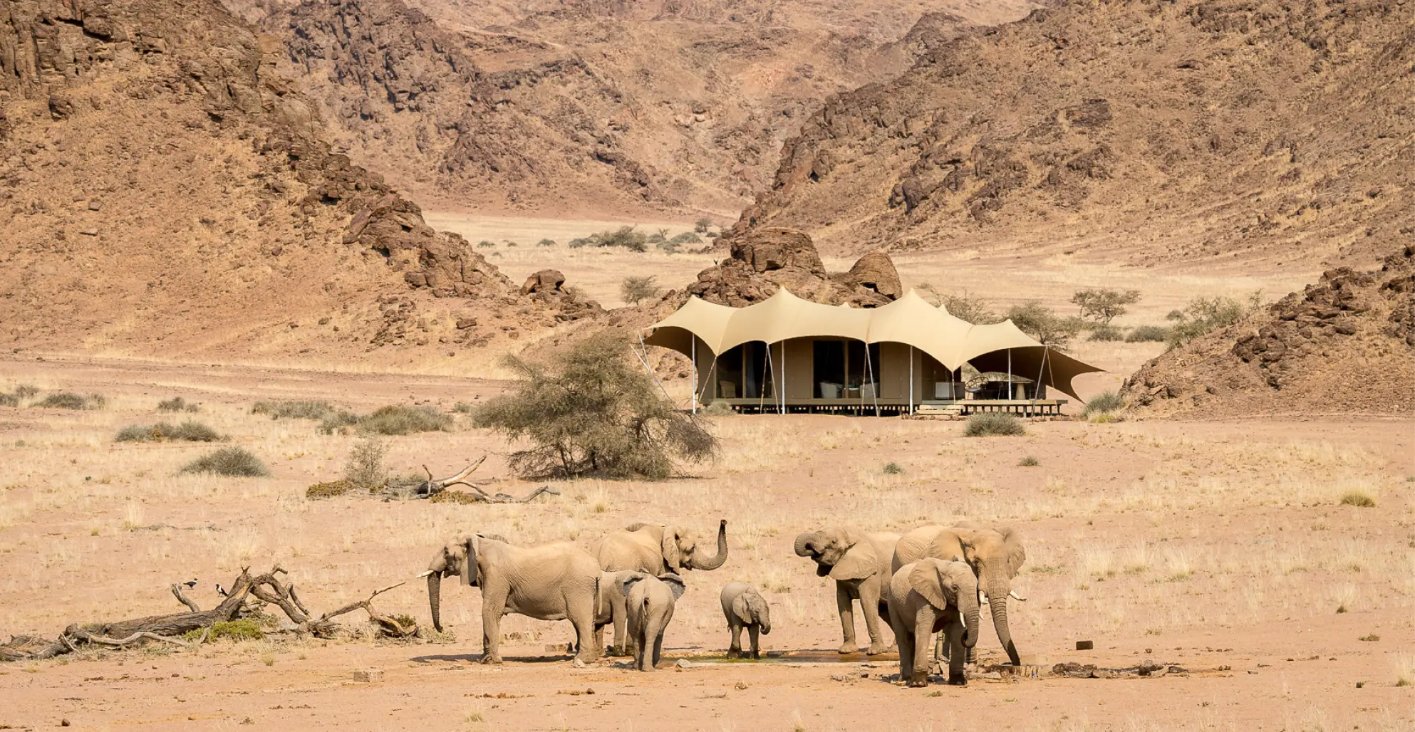 Namibia Expeditions