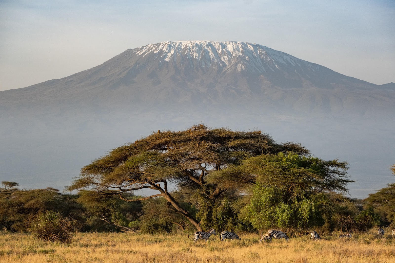 The Best of East Africa: From the Serengeti to Seychelles