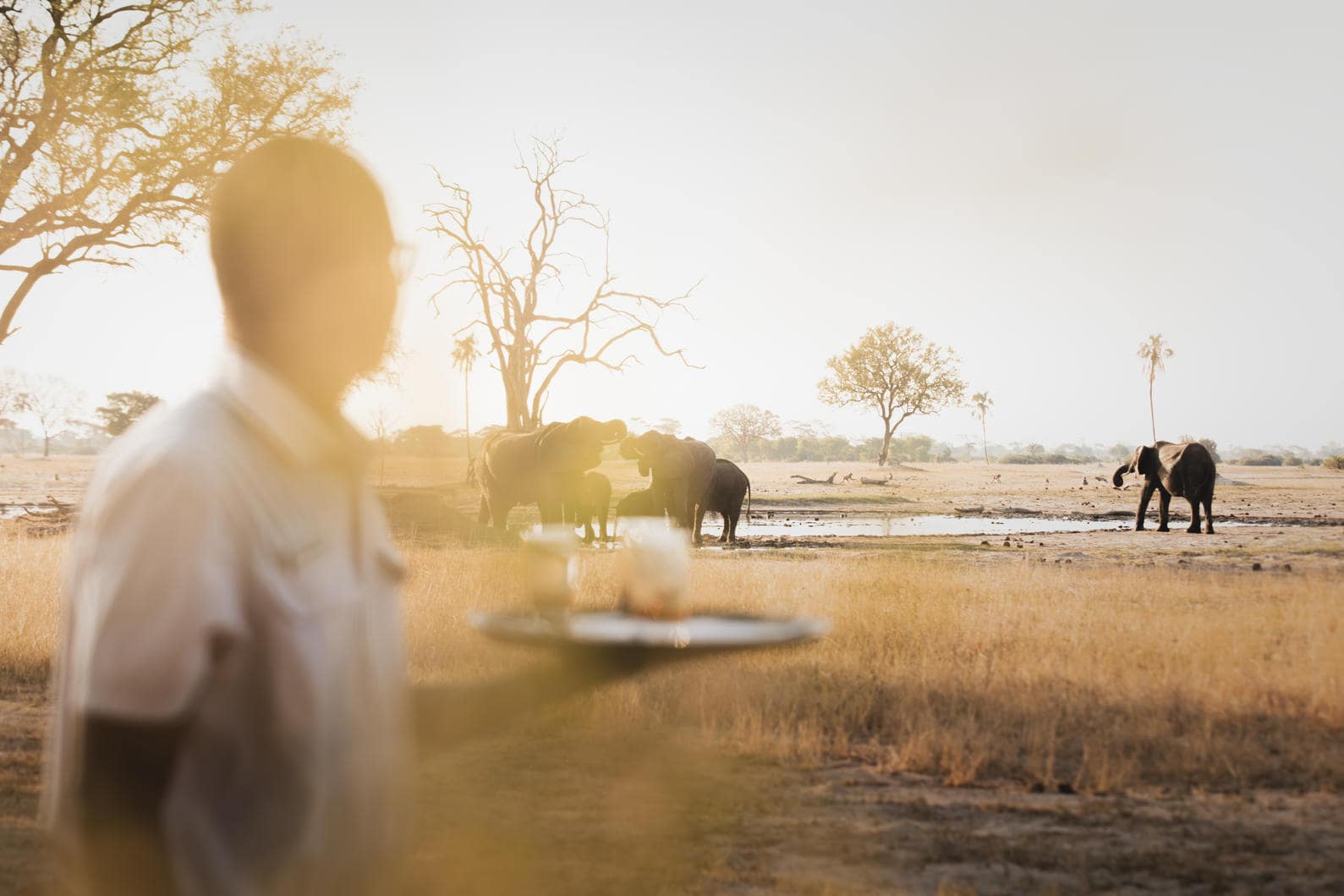 Family Safari in Southern Africa