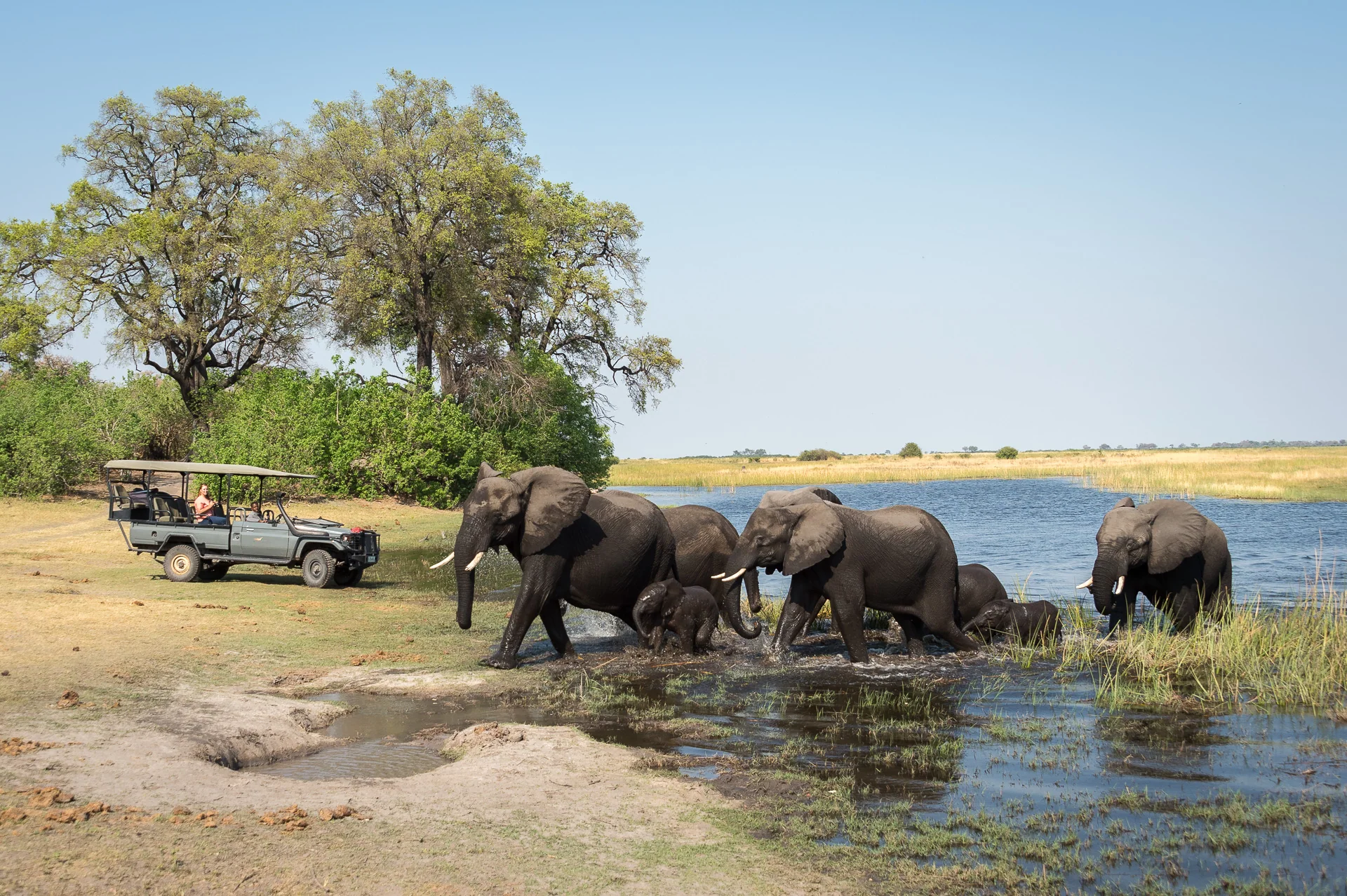 Magical Botswana