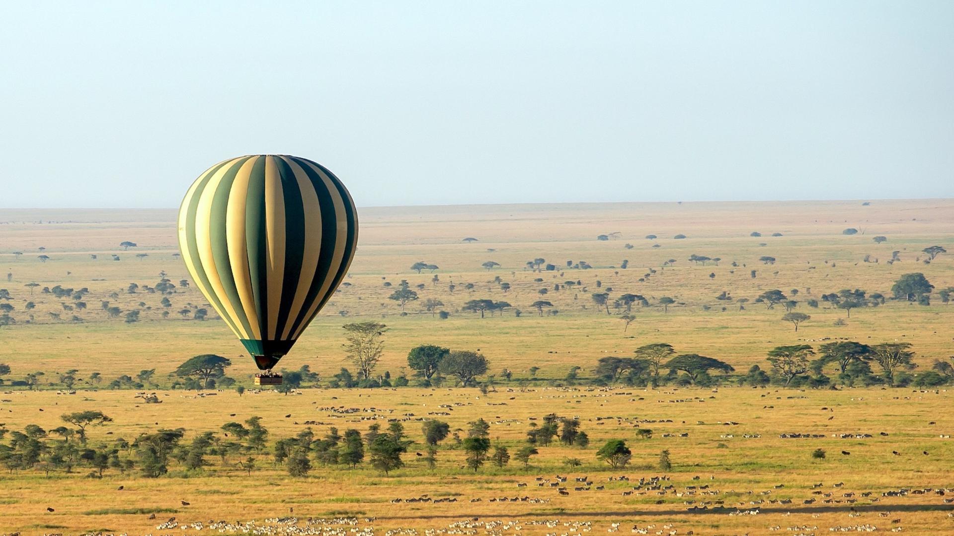 East Africa Extravaganza