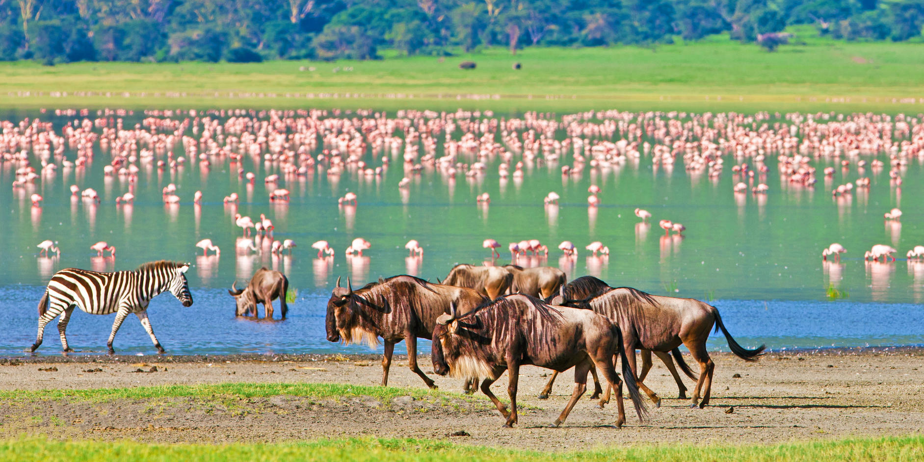 Incredible East Africa Safari