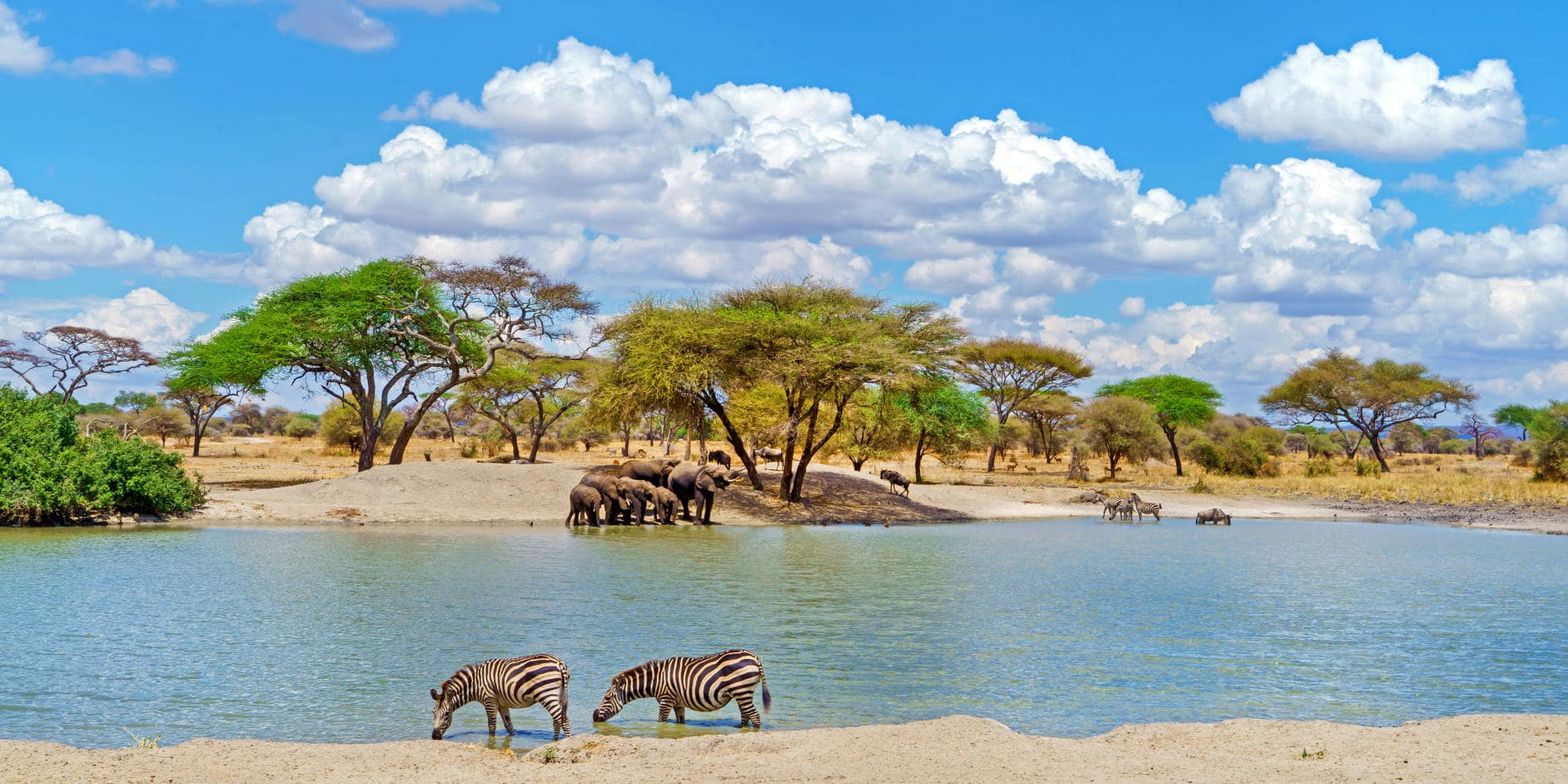 Tanzania Adventure