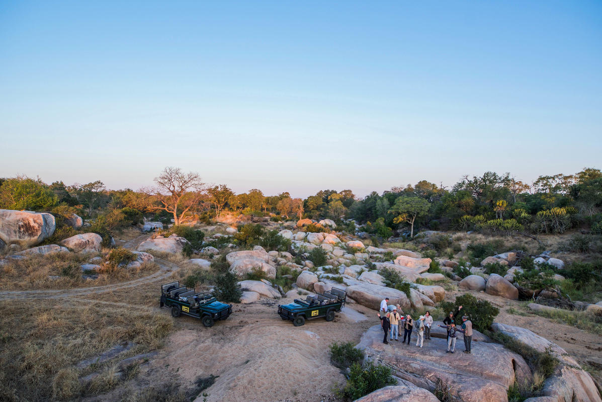 Family Safari