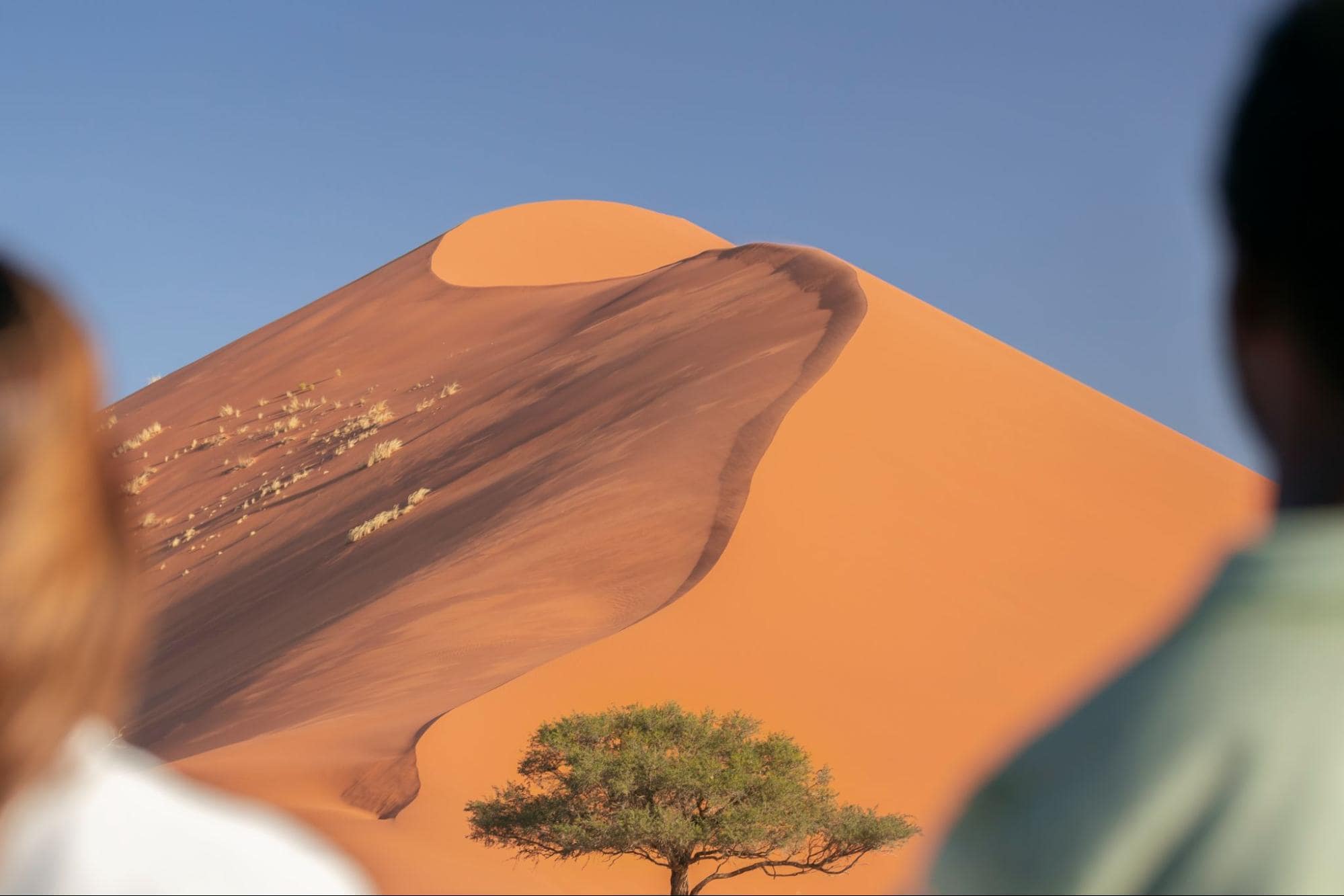 Exploring Namibia’s Spectacular Landscapes
