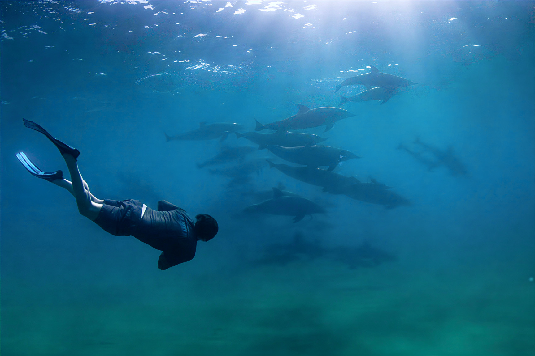 Unforgettable Scuba Diving Experiences in Mozambique